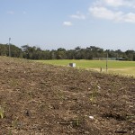 Judy Holt Reserve