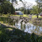 Louisa Williams Park