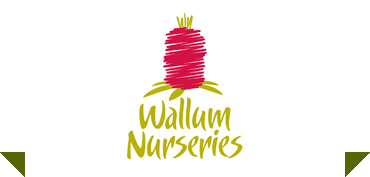 Wallum Nurseries